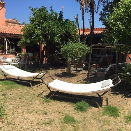 B B Casa Vacanze Il Pino Di Pino ลาสการี ภายนอก รูปภาพ