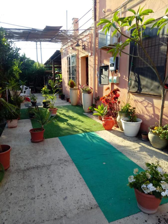 B B Casa Vacanze Il Pino Di Pino ลาสการี ภายนอก รูปภาพ