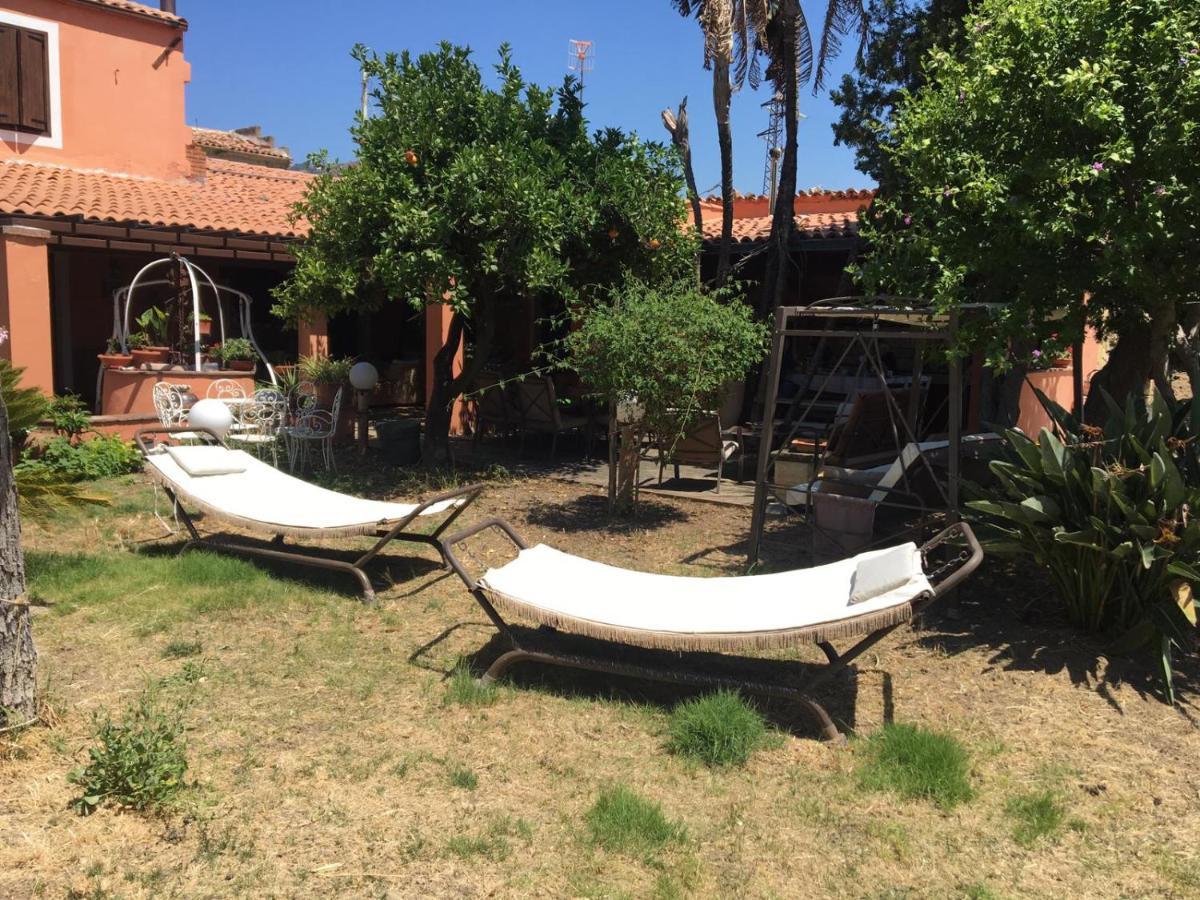 B B Casa Vacanze Il Pino Di Pino ลาสการี ภายนอก รูปภาพ