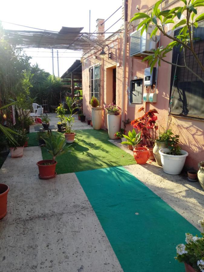 B B Casa Vacanze Il Pino Di Pino ลาสการี ภายนอก รูปภาพ