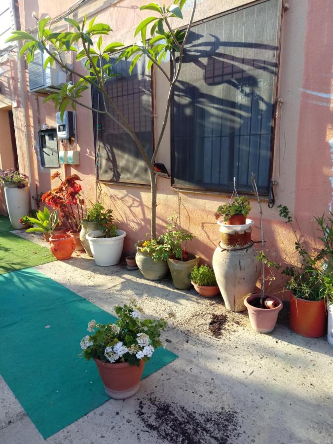 B B Casa Vacanze Il Pino Di Pino ลาสการี ภายนอก รูปภาพ